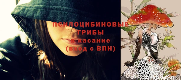 твердый Балахна