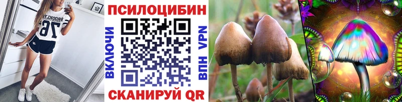 Псилоцибиновые грибы MAGIC MUSHROOMS  Певек 